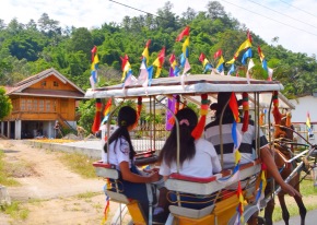 On Horse and Cart Sulawesi